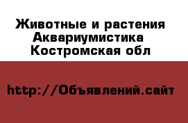 Животные и растения Аквариумистика. Костромская обл.